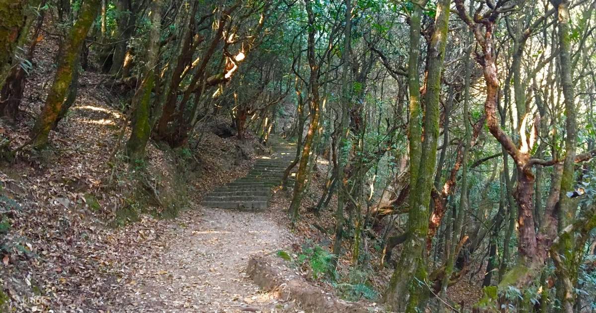 Hiking Tours in Kathmandu — photo 3