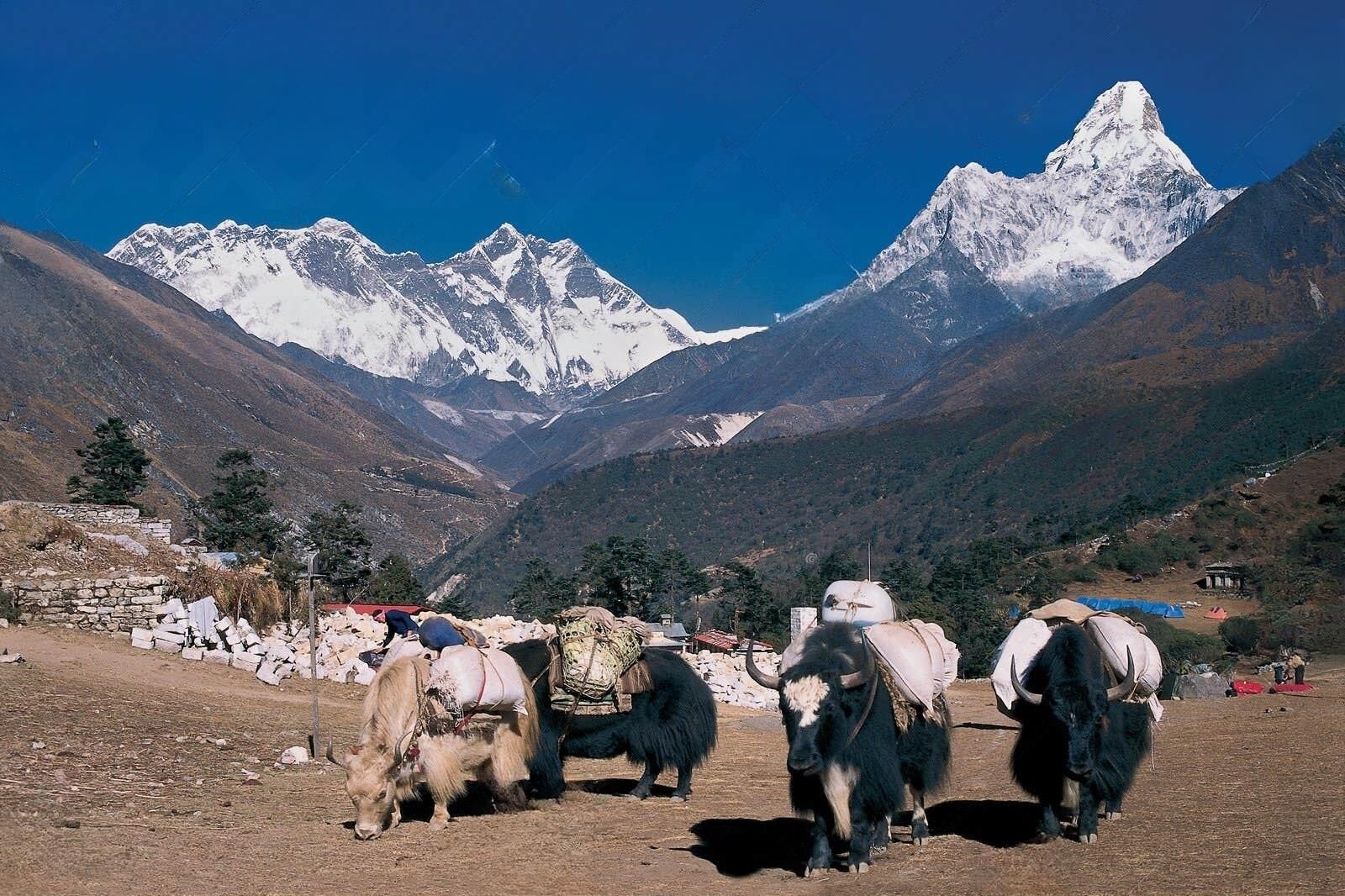 Embark on an Epic Adventure: 12D11N Everest Base Camp Trek in Nepal's Majestic Himalayas photo 2