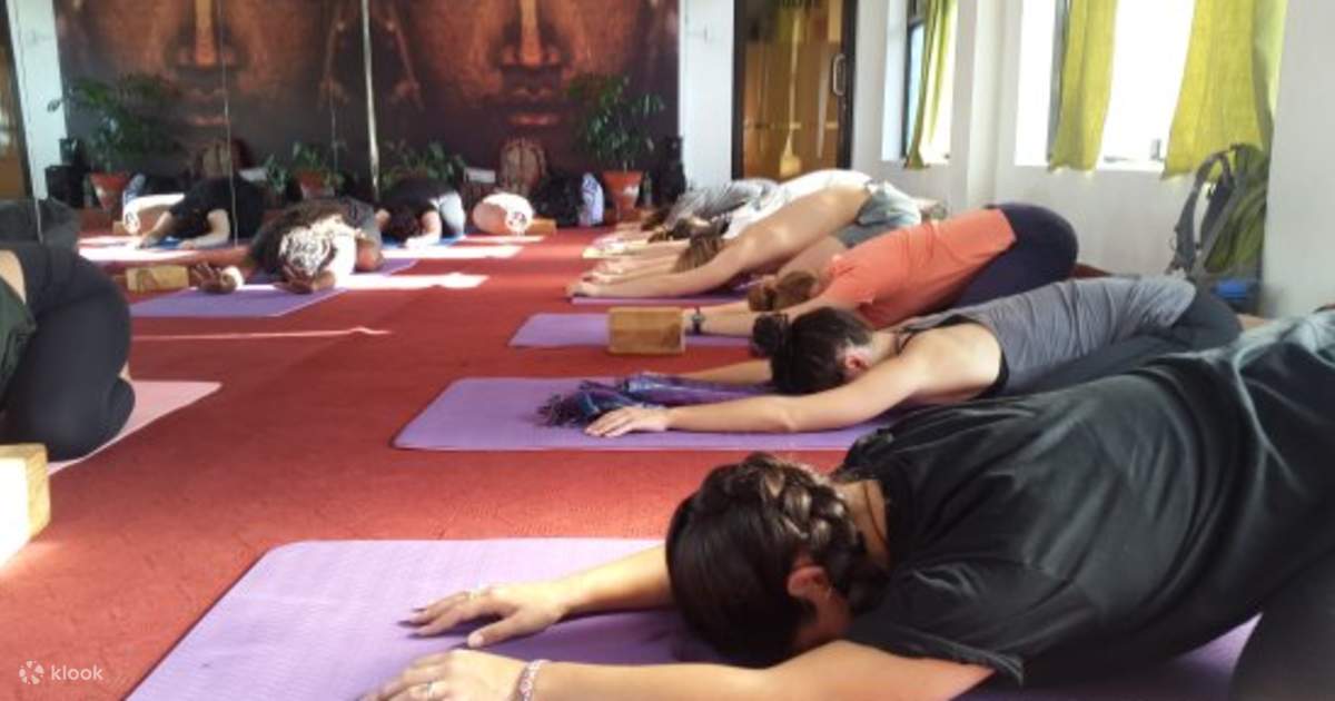 Mandala Studio Yoga Session in Kathmandu photo 5