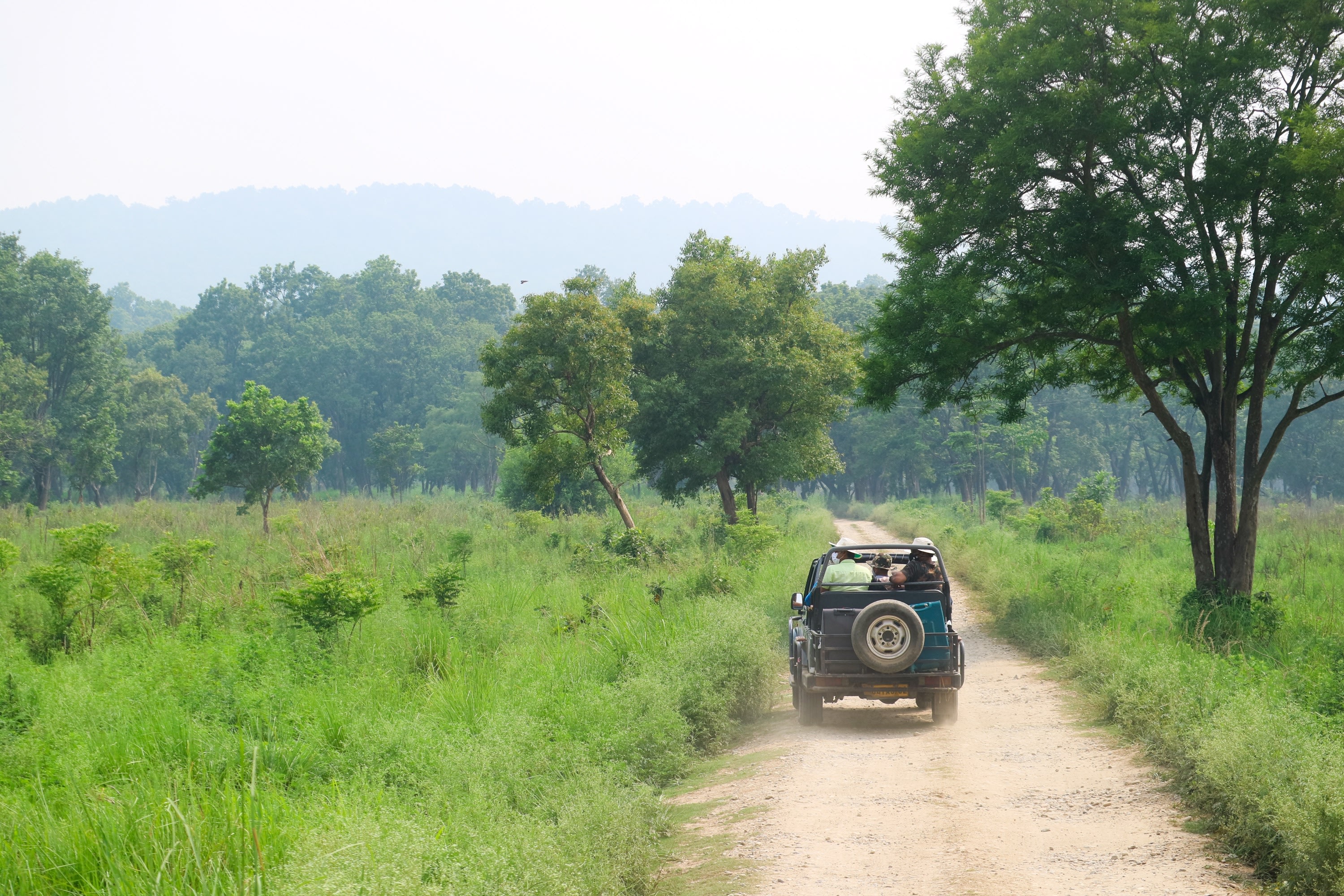 Kathmandu: Private 3 Days Chitwan Jungle Safari Tour photo 2