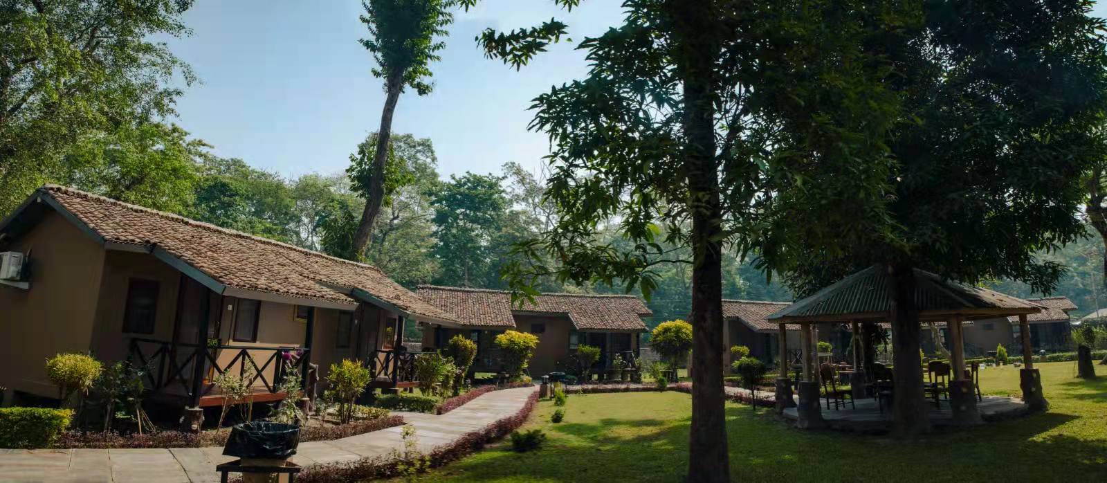 Kathmandu: Private 3 Days Chitwan Jungle Safari Tour photo 4