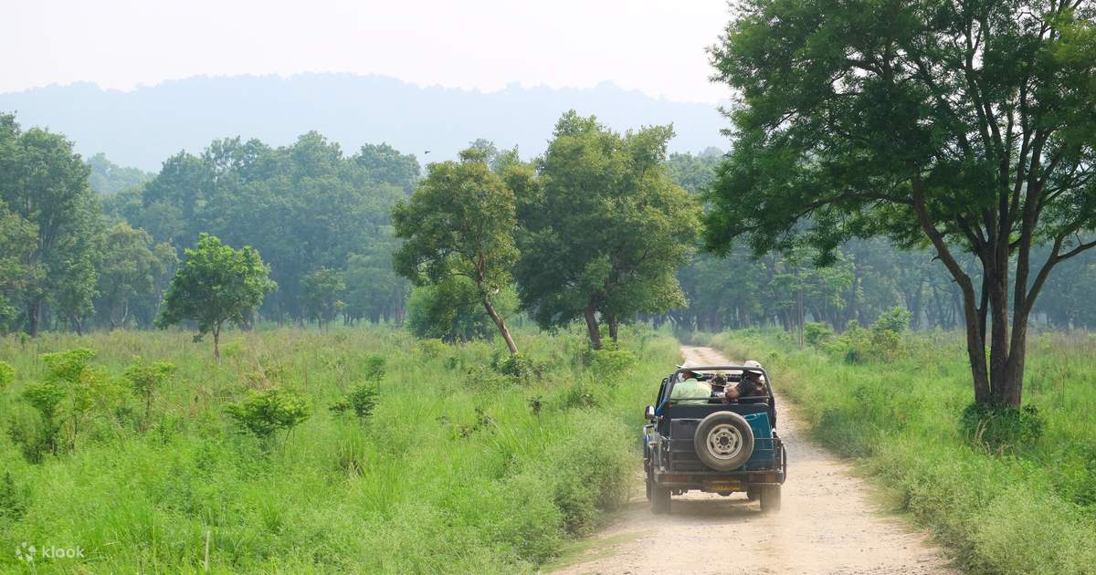 3 Nights 4 Days Chitwan National Park with Tower Night Stay photo 2