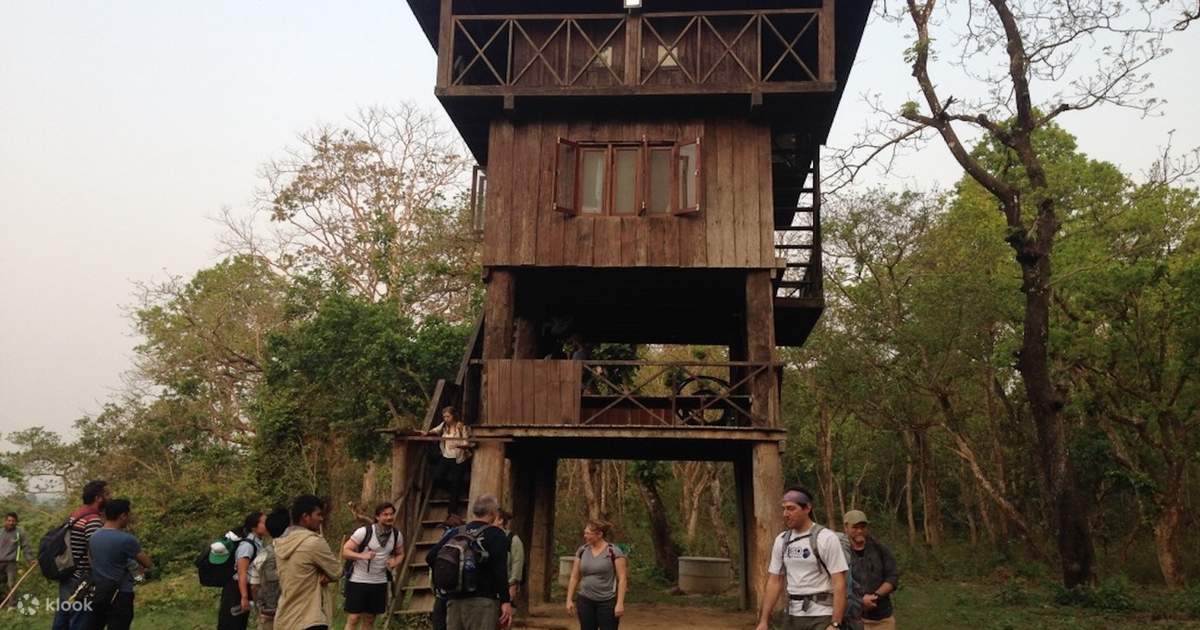 3 Nights 4 Days Chitwan National Park with Tower Night Stay photo 5