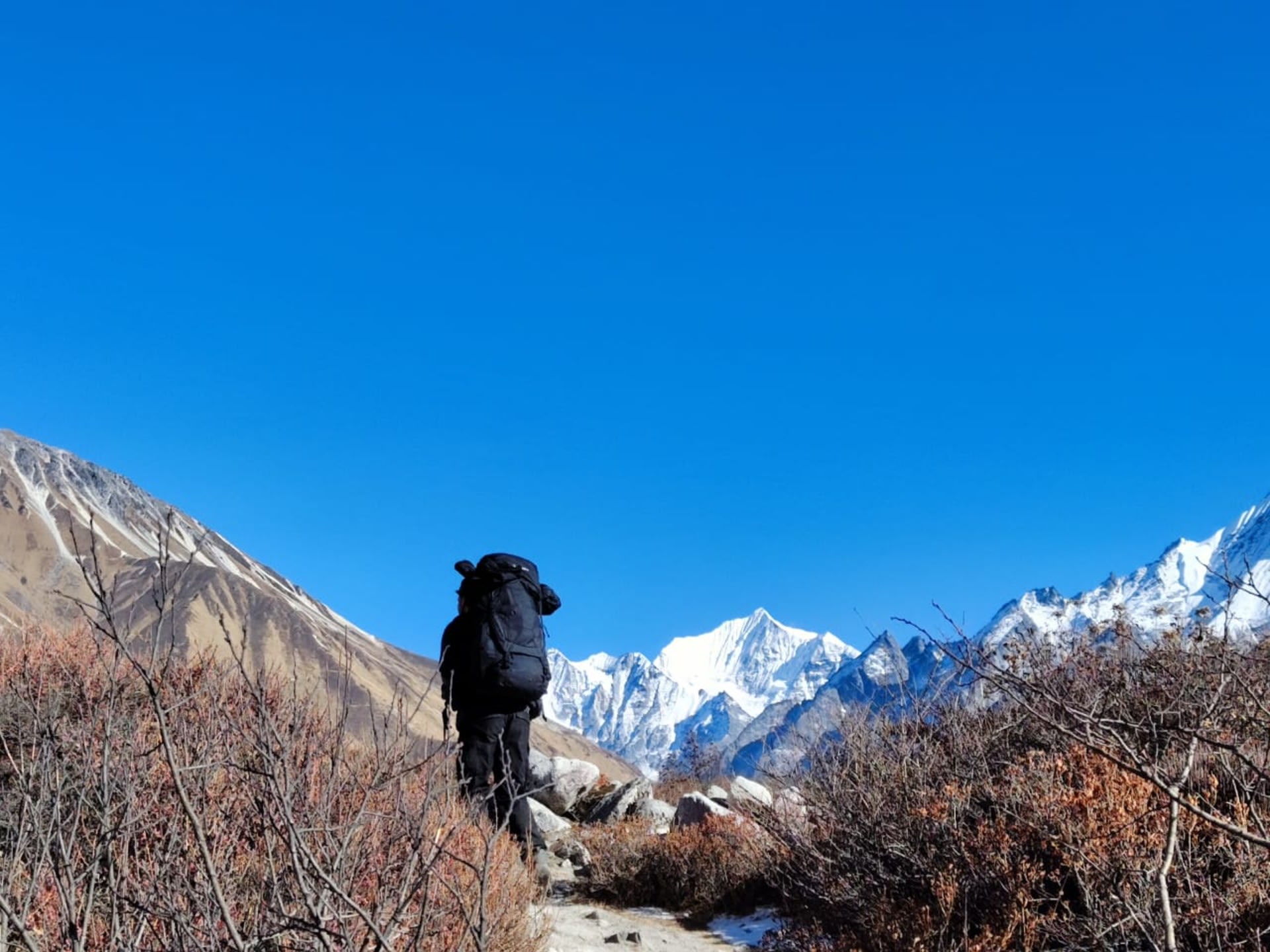 Kathmandu: 6-Day Limitless Langtang Guided Trek photo 3