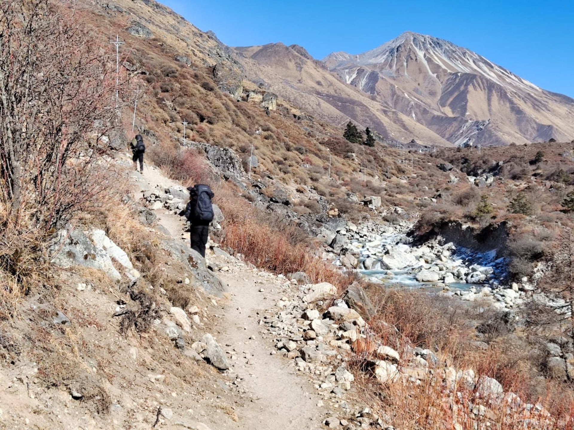 Kathmandu: 6-Day Limitless Langtang Guided Trek photo 4