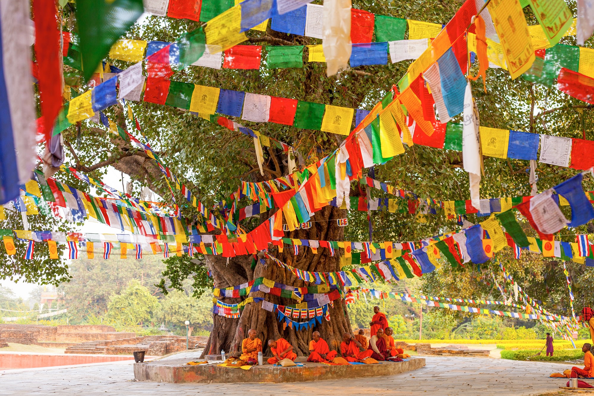 15 Days Complete Buddhist Trail Tour in India & Nepal with Taj Mahal photo 4