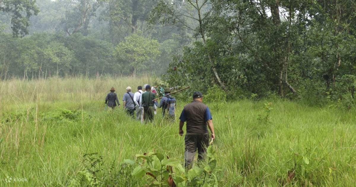 Kathmandu/Pokhara: 3 Days Chitwan Safari Tour By Car photo 5