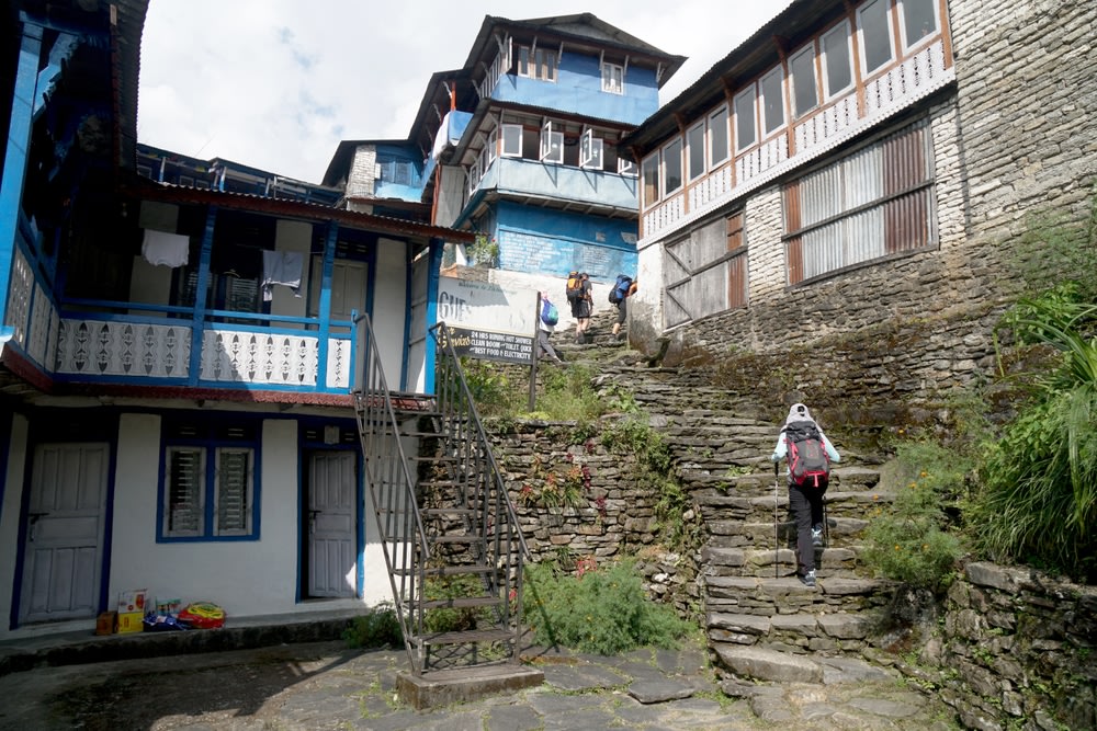 Ghorepani Poon Hill Trek photo 3