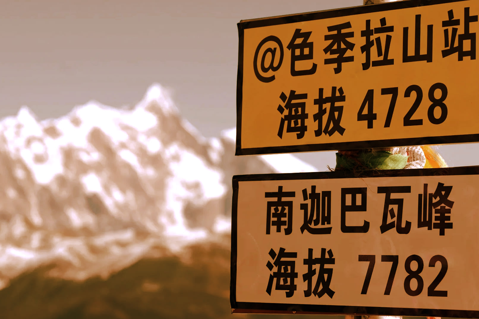 12-Day Panoramic Tour of Tibet Lhasa Snowy Sky Realm (Chinese/English Speaking Guide, Foreigner Group Tour + Nyingchi + Lulang + Lhasa + Potala Palace + Yamdrok Lake + Mount Everest + Namtso Lake + Sera Monastery + Includes Tibet Entry Permit Application) photo 4