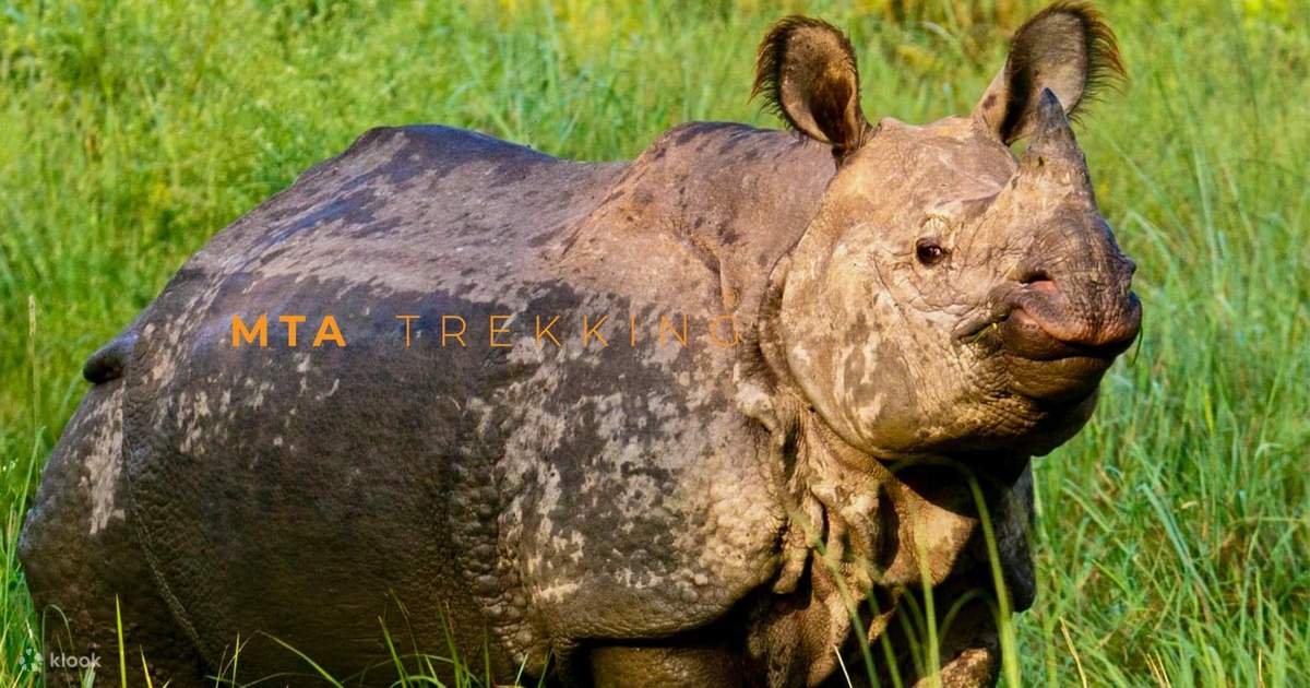 Explore Nepal: 3-Day Culture, Wildlife & Jungle Tour photo 3