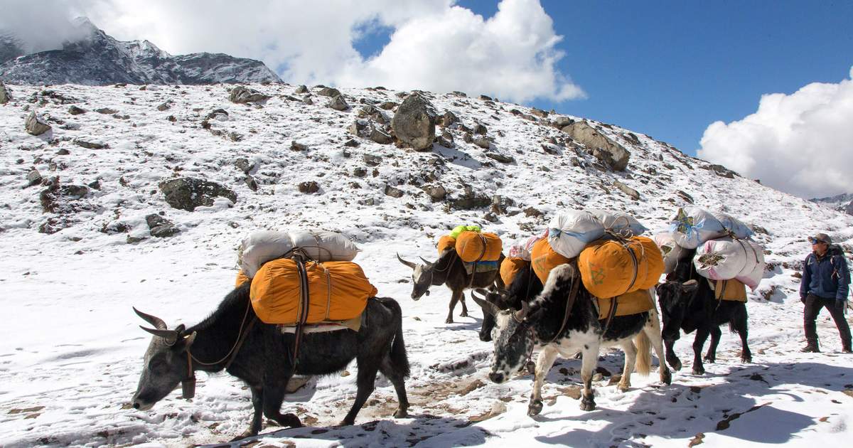 Everest Base Camp (EBC) 10-Day Trek photo 5