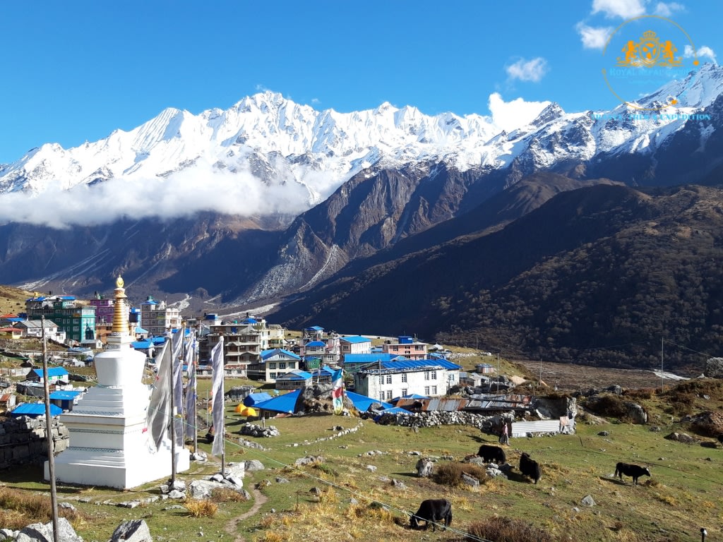 Kathmandu: 7-Days Langtang Valley Trek photo 3