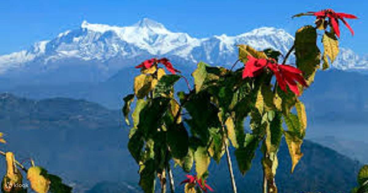 Sarangkot Sunrise & Panoramic Annapurna View Tour photo 3