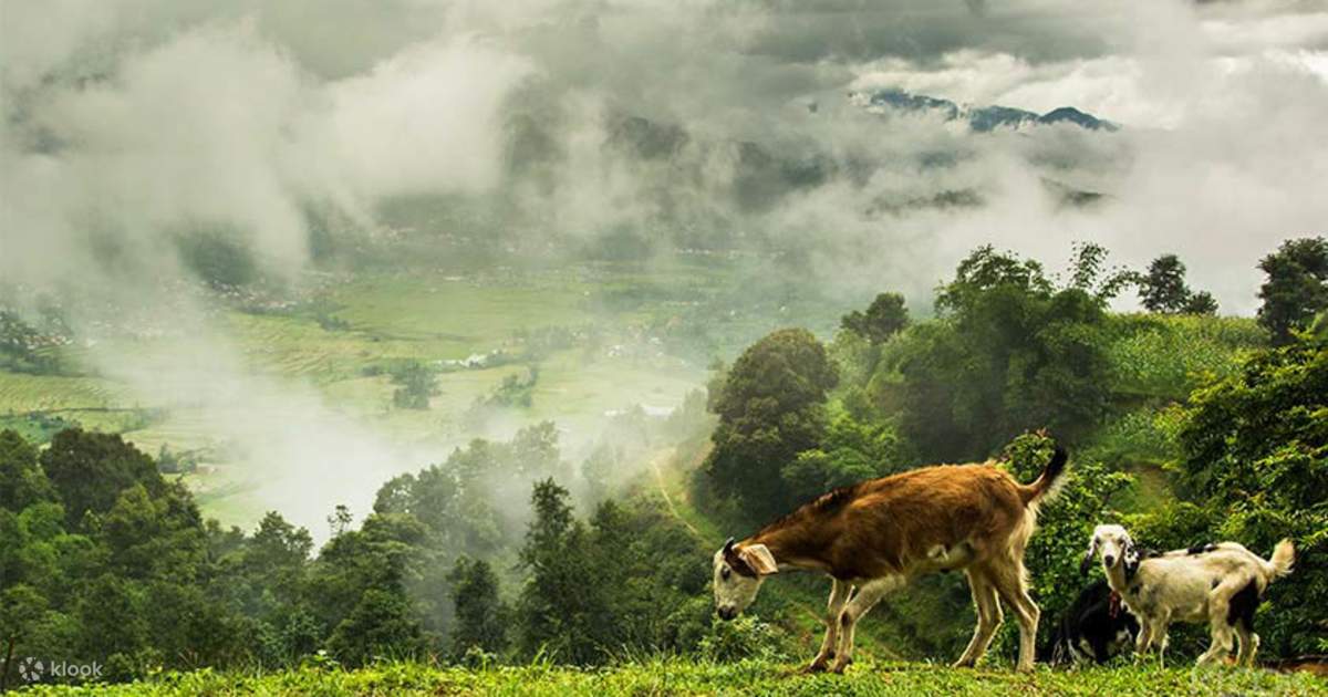 Nagarkot Day Hike photo 2