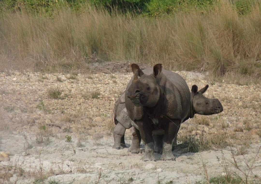 Nepal Trekking and Safari Tour photo 3