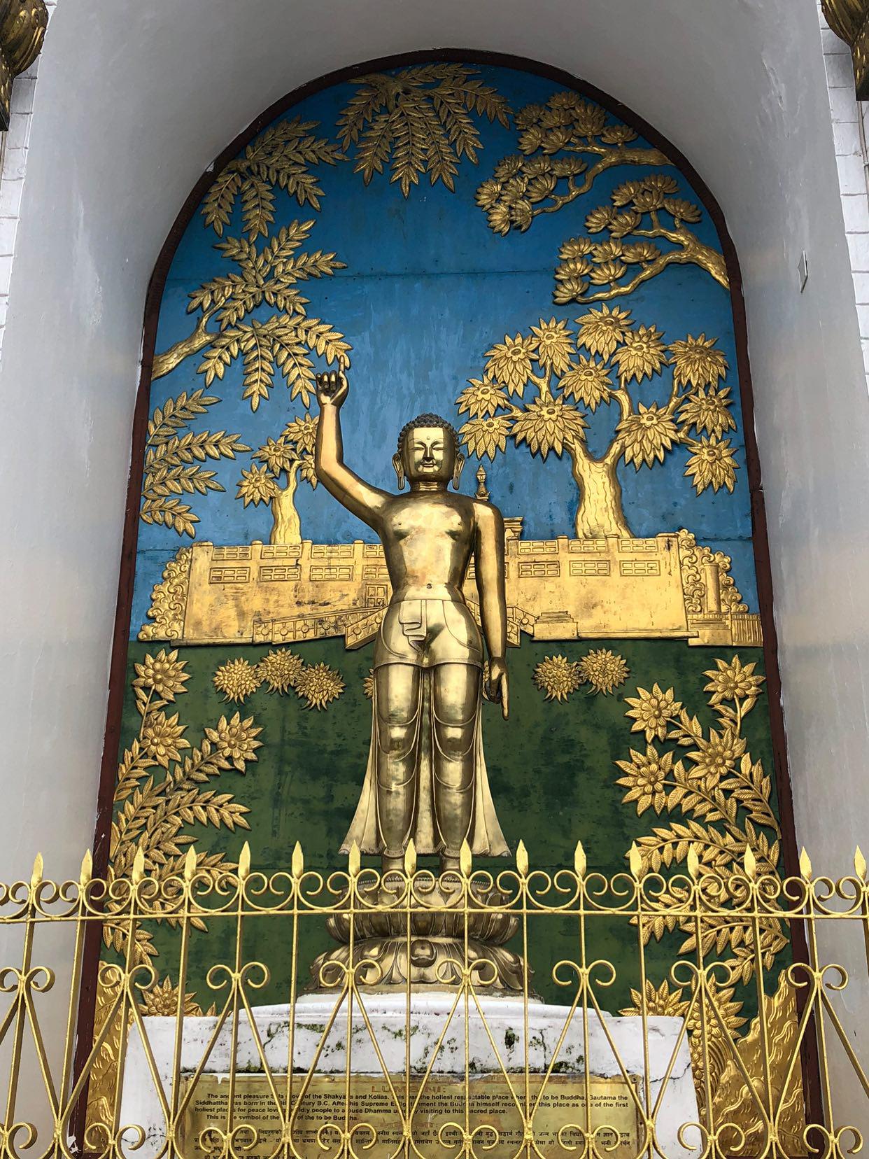 Pokhara World Peace Pagoda Half-Day Tour with Lake Boat — photo 3