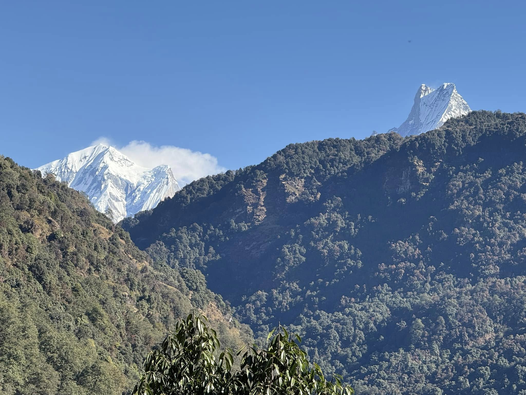 Ghorepani Poon Hill Sunrise Trek via Ghandruk photo 2