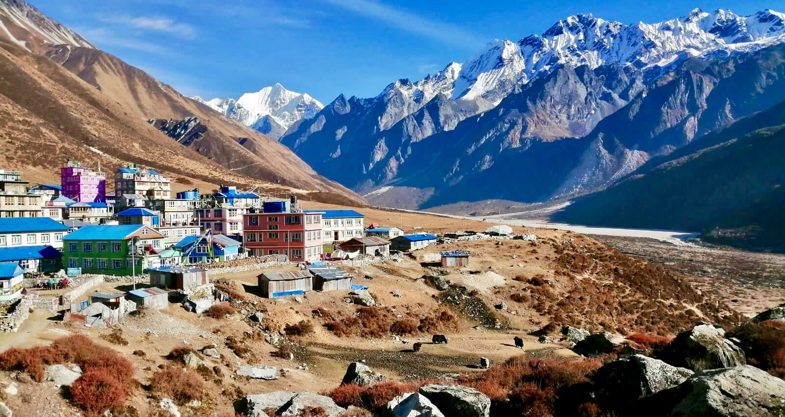 Langtang Valley Trek to Kyanjin Ri Peak 8-Day Mountain Adventure photo 3