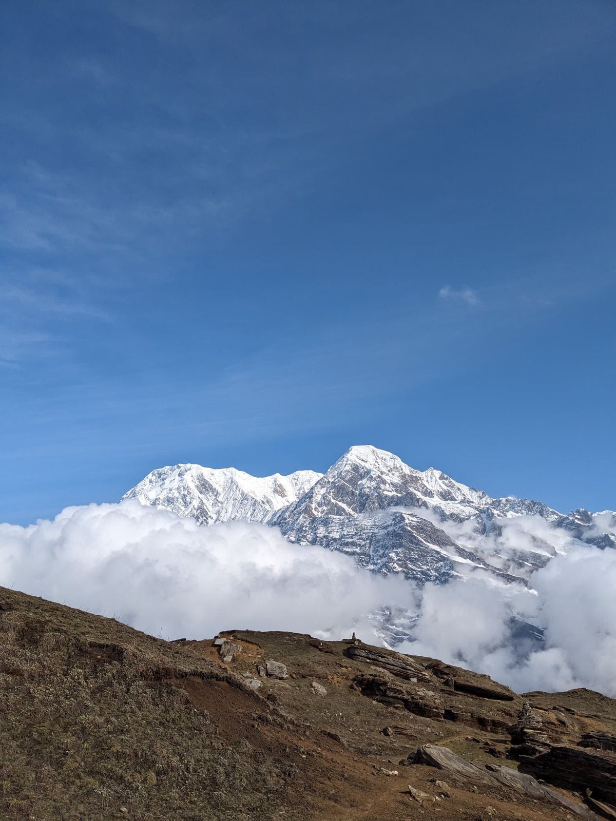 From Pokhara: Mardi Himal Trek 3N/4D — photo 4