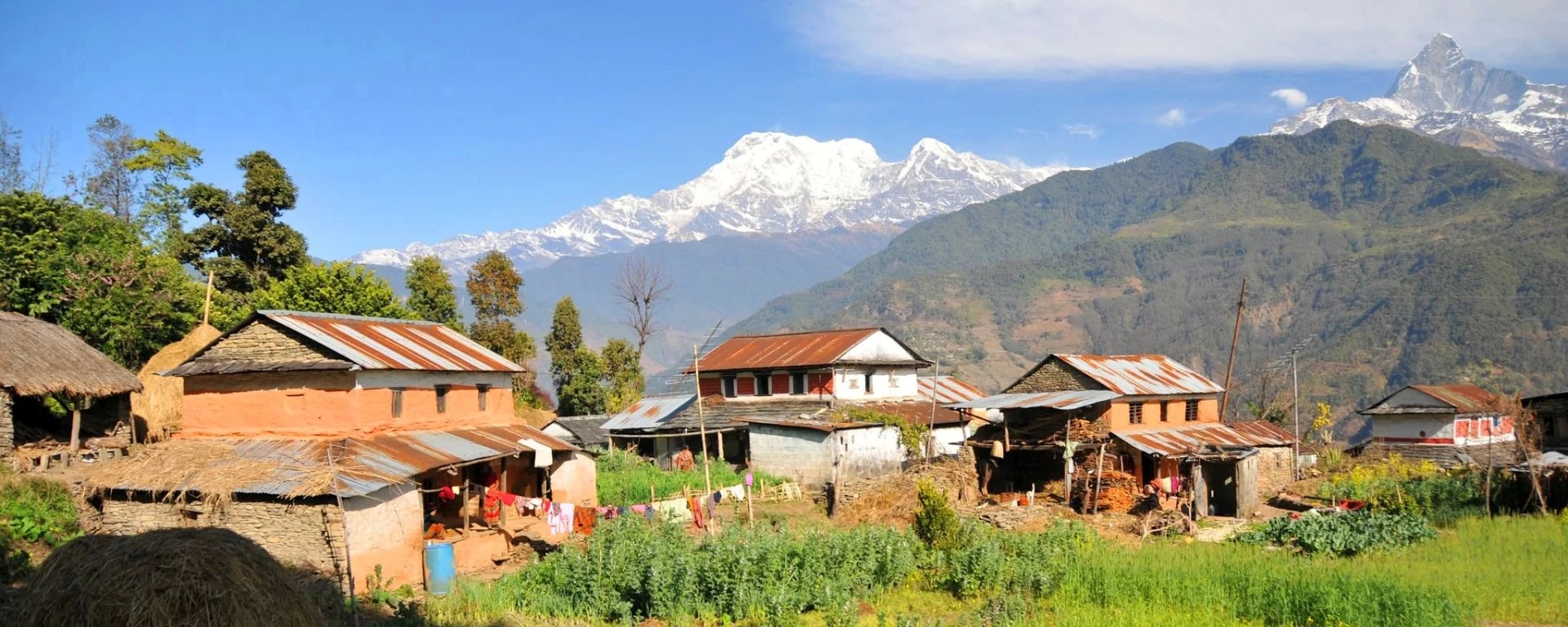 Pokhara: Annapurna Foothills Day Hike-Australian Camp-Dhampus hike — photo 3