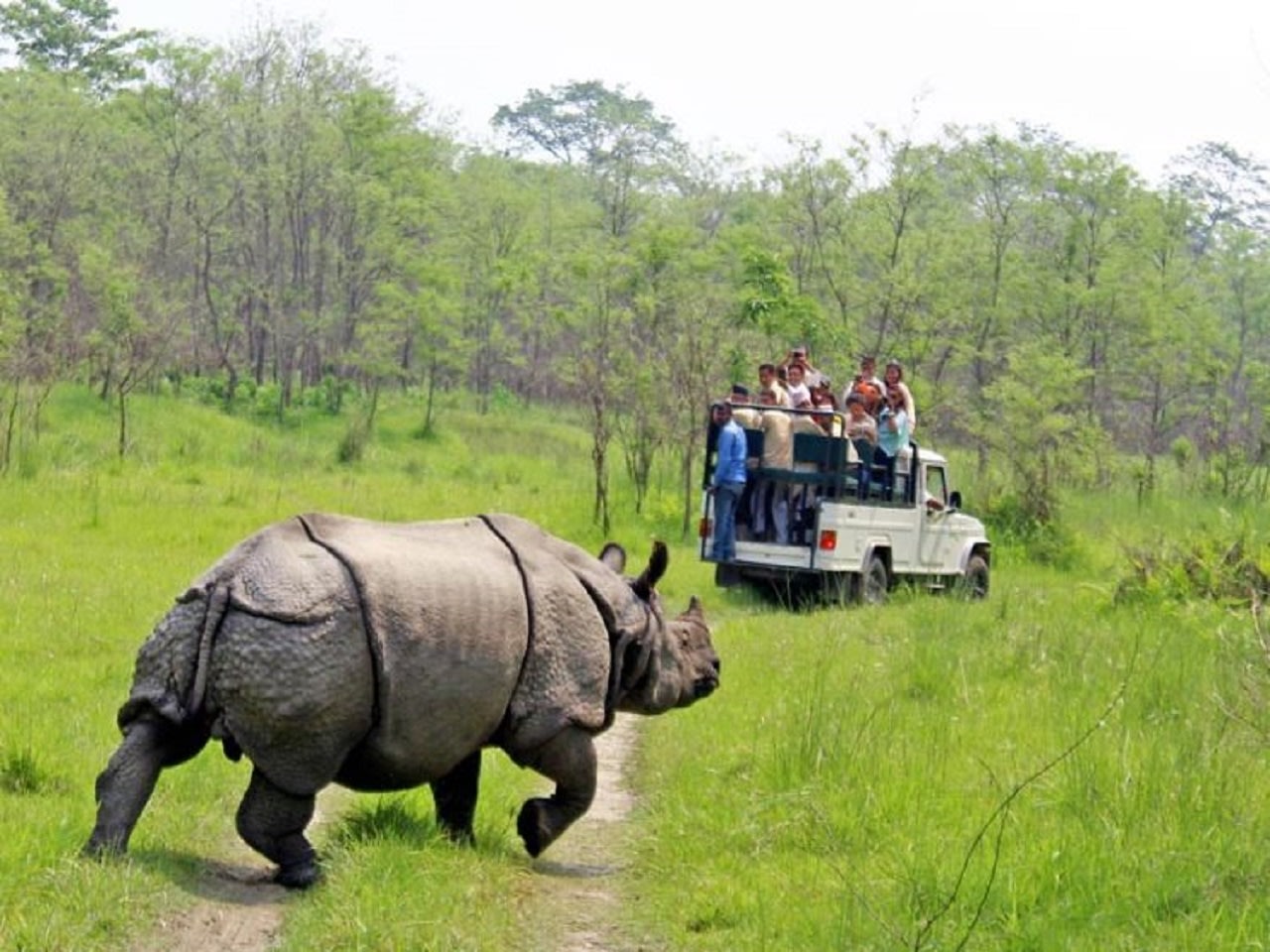 Chitwan National Park Wildlife and Jungle Adventure-3 Night/4 days photo 3
