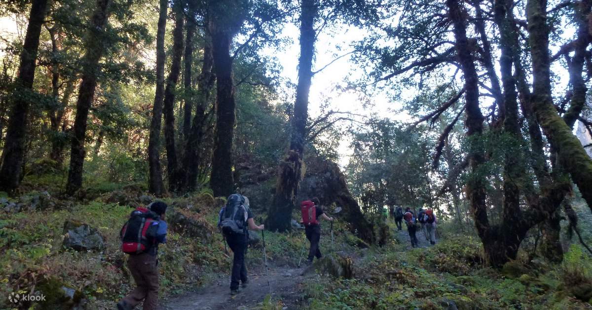 7D6N Langtang Valley Trek from Kathmandu — photo 4