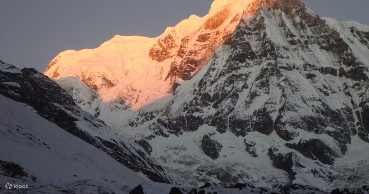 7d6n Annapurna Base Camp Trek Pokhara in Pokhara