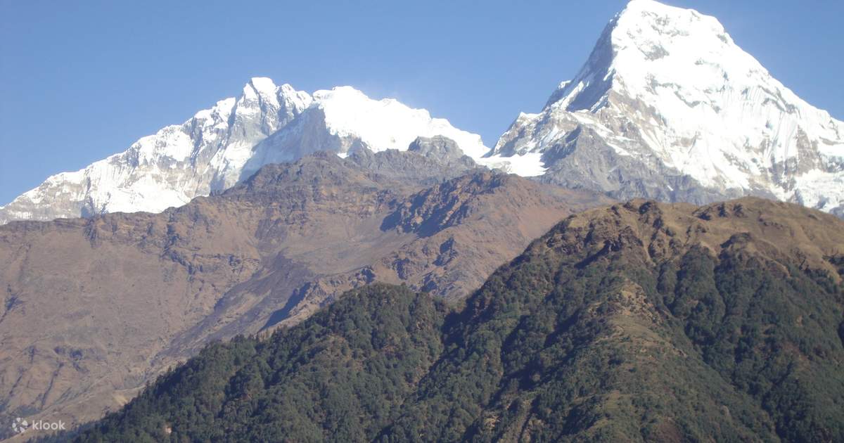 4d3n Ghorepani Poon Hill Trek Pokhara in Pokhara