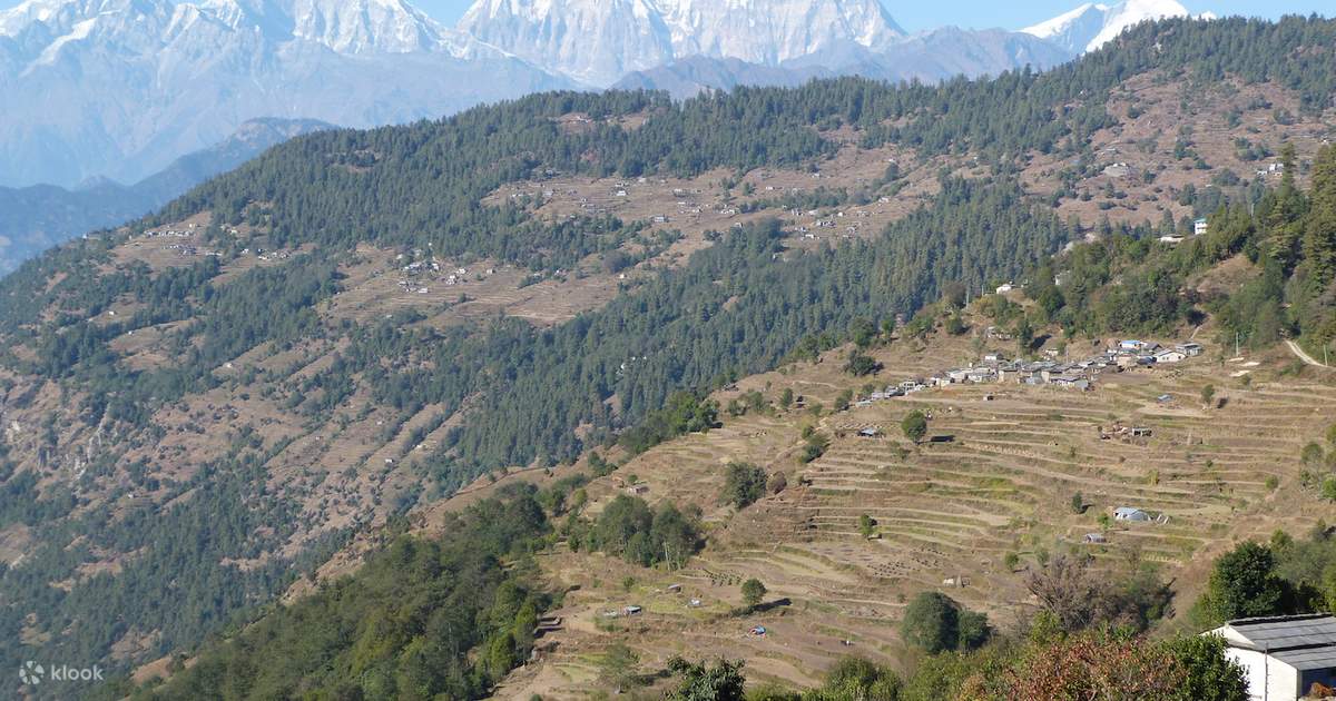 4 Day Ghorepani Poon Hill Trek — photo 3