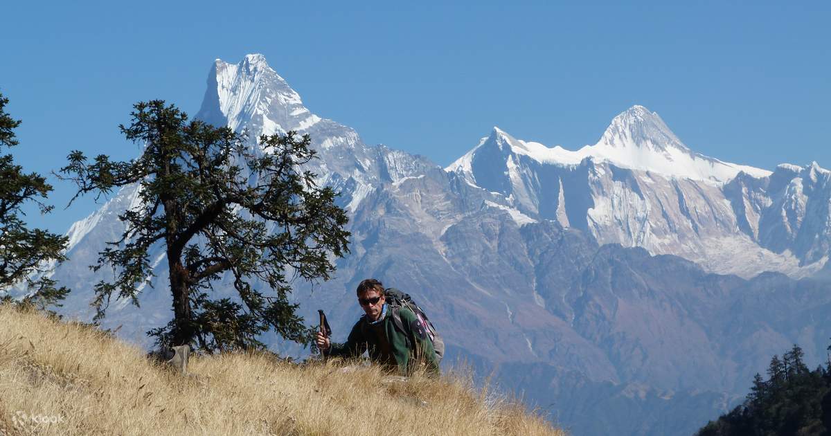 4 Day Ghorepani Poon Hill Trek — photo 5