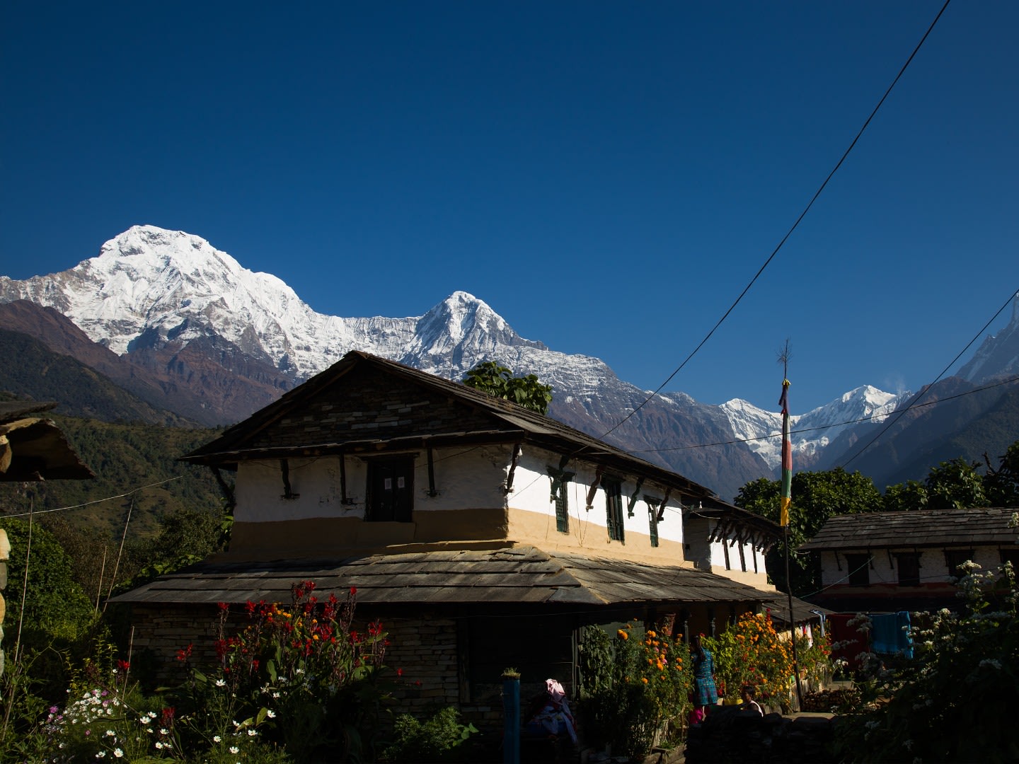 Annapurna Sanctuary Tour from Pokhara — photo 4