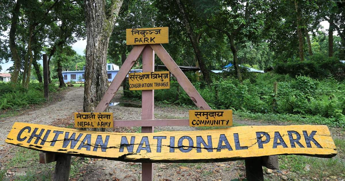 Chitwan National Park Tour from Pokhara — photo 2