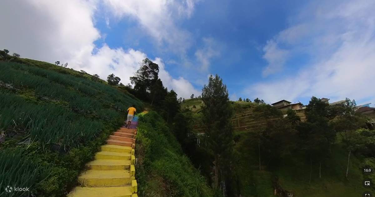 Borobudur Temple and Nepal Van Java Trekking Experience Tour from Yogyakarta photo 2