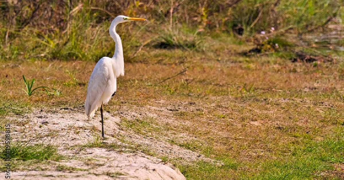 Explore Chitwan National Park: 3-Day Tour from Kathmandu — photo 2