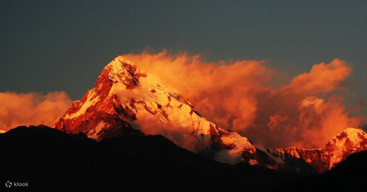 2D1N Poon Hill Trek Experience from Pokhara — photo 3