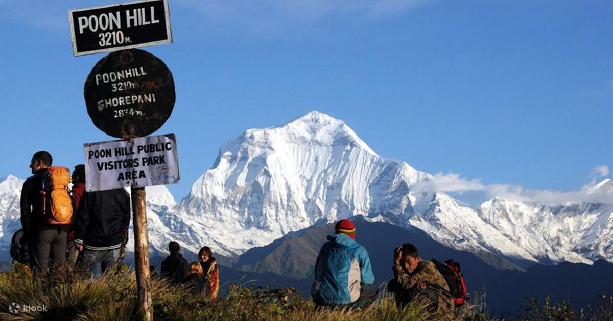 Himalayan Ghorepani Poon Hill 3-Day Guided Trek — photo 5